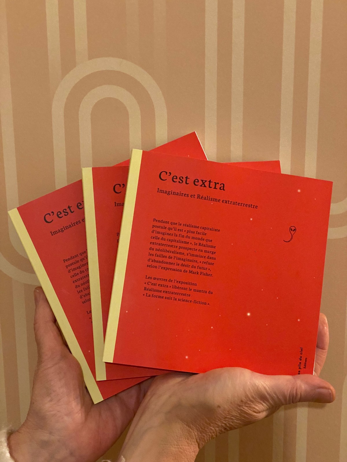 27 janvier 2026 – Notre dernière parution : &laquo;&nbsp;C&rsquo;est extra – Imaginaires et Réalisme extraterrestre&nbsp;&raquo; est désormais disponible partout (commandes en librairies et plate-formes du&nbsp;livre)